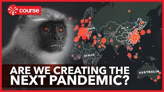 Zoonotic Diseases  How the next Pandemic could happen [upl. by Ahsoik]