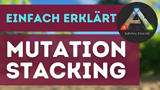 So funktioniert MUTATIONSSTACKING in ARKSurvival Evolved [upl. by Carrington23]