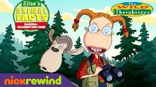 Animal Facts From The Wild Thornberrys  Nicktoons [upl. by Yenterb164]