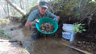 Panning And Sluicing For Gold In A Small Stream [upl. by Bashemeth438]