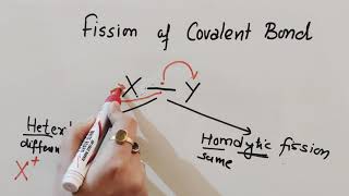 Fission of Covalent Bond  Inductive Effect  Hyperconjugation Class 11Chemistry [upl. by Ennove766]