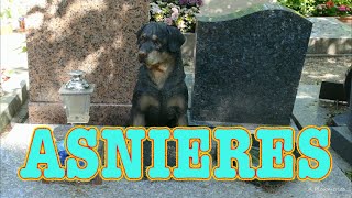 ASNIERES LE CIMETIERE DES CHIENS [upl. by Lolande]