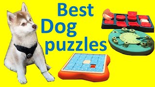 Our favorite dog puzzles to keep our dog busy – Best toys for mental stimulation amp brain development [upl. by Ennahgem]