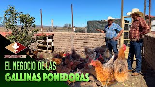 GALLINAS PONEDORAS el negocio familiar [upl. by Lorimer]