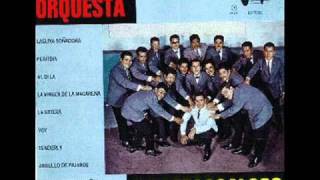 ORQUESTA COATZACOALCOS  TENDERLYwmv [upl. by Danit]