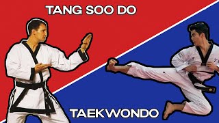 Tang Soo Do vs Taekwondo  Whats The Difference [upl. by Chrisy]