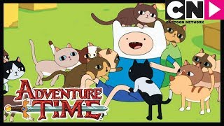 Adventure Time  The Box Prince  Cartoon Network [upl. by Bremble]