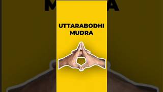 Uttarabodhi Mudra  How to do it Steps and Benefits shorts [upl. by Vrablik]