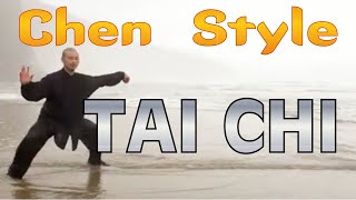 Chen Style Tai Chi [upl. by Atnes203]