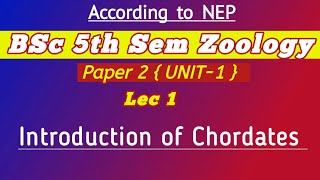 Introduction of Chordats  Origin of chordates  Origin of chordates and hemichordates Zoology 2nd [upl. by Peck]