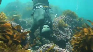 The Haenyeo female divers of Jejudo Island [upl. by Yenahc]