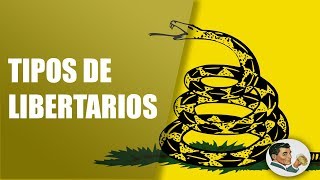 Tipos y Diferencias de Liberales y Libertarios [upl. by Joby]