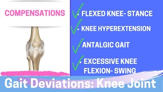 Gait Deviations Compensatory Knee Joint Strategies [upl. by Mac869]