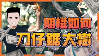 期權能讓你一夜暴富？💰 3個大戶常用的期權策略✅ 對沖 [upl. by Eilesor142]