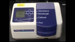 Spectrophotometer Demonstration [upl. by Abeh]