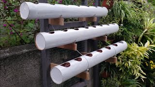 DIY quotSnap hydroponics system using Pvc pipe [upl. by Liberati786]