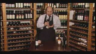 Become a Wine Connoisseur The Art of Sommelier Explained [upl. by Talya725]