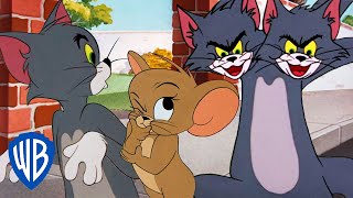 Tom amp Jerry in italiano 🇮🇹  Il meglio di Tom 🐱💙  WBKidsItaliano [upl. by Anelagna]