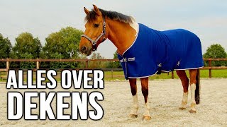 Alles over paardendekens  winactie  felinehoi [upl. by Eelrac]