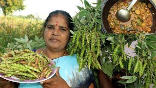 Fresh Organic Pigeon Peas Recipe  Thuvarai Kottai Kulambu  VILLAGE FOOD [upl. by Colver]