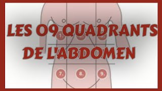 Les 09 QUADRANTS de LABDOMEN LES 09 Régions de labdomen [upl. by Bravin]