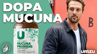 Top 5 Benefits Of Mucuna Pruriens and LDOPA [upl. by Hoban848]