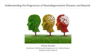 Understanding the Progression of Neurodegenerative Diseases  Chiara Zurzolo  Radcliffe Institute [upl. by Mickie]