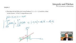 Aufgaben zur Integralrechnung und Flächenberechnung [upl. by Dodie641]
