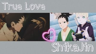 AMV ×ShikaJin× ShikadaiInojin [upl. by Assylla91]