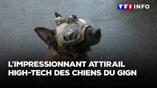 Limpressionnant attirail hightech des chiens du GIGN [upl. by Hey]