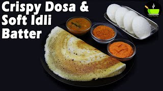 Idli Dosa Batter in a Mixie Soft Idli Crispy Dosa Batter  How To Make The Perfect Idli Dosa Batter [upl. by Anavi]