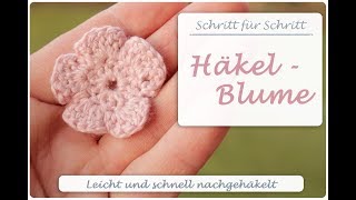 ✿ Einfache Häkelblume Häkeln ✿ 5 Blätter ✿ Amigurumi Blume ✿ Anleitung für Anfänger [upl. by Llerral]