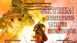 SKYRIM Fighting Three Dragons [upl. by Vassili]