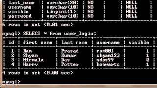 MySQL Tutorial for Beginners  3  Selecting Data from Tables in a Database [upl. by Eicyaj754]