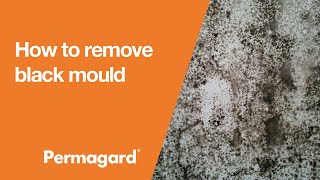 How to remove black mould on interior walls [upl. by Eilla526]