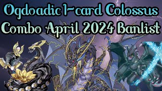 Ogdoadic Thunder Dragon Colossus 1Card Combo April 2024 Banlist [upl. by Eiderf155]