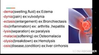 Medical Terminology Module  Prefixes and Suffixes [upl. by Elyac]