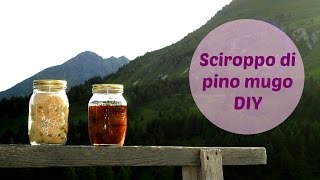 DIY  Sciroppo di pino mugo [upl. by Adile]