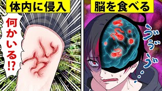 寄生虫が人間の体に入るとどうなるのか【アニメ】【漫画】 [upl. by Eradis]