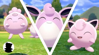 【Pokemon Camp】Igglybuff・Jigglypuff・Wigglytuff＆Shiny Cute Song [upl. by Zebadiah]