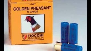 Fiocchi Golden Pheasant Ammunition [upl. by Harmonia]