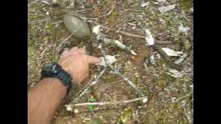 Spring Snare Trap with Improved Triangle Trigger How To [upl. by Lyell]