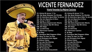 VICENTE FERNANDEZ MIX ROMANTICAS VIEJITAS PARA ADOLORIDOS LAS MEJORES RANCHERAS [upl. by Atteuqcaj810]