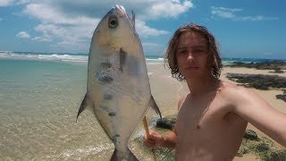 Spearfishing the Shallows  Catch n Cook on the Beach [upl. by Mercola]