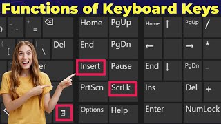 what is the functions of insert key scroll lock amp options keys in computer keyboard [upl. by Llorrad]