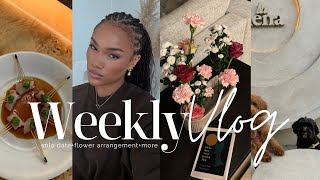 weekly vlog solo sushi date  doggy link up  new recipes  dubai events amp more  allyiahsface vlog [upl. by Gregoor]