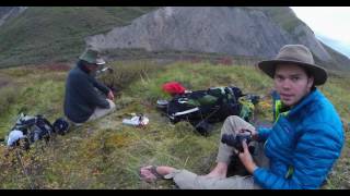 Backpacking Denali National Park [upl. by Jaime]