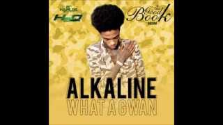 ALKALINE  WHA A GWAN  GOOD BOOK RIDDIM  H2O RECORDS  21ST HAPILOS DIGITAL [upl. by Groveman]