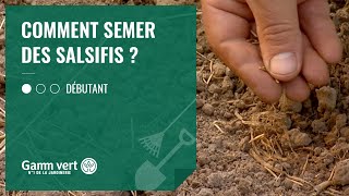 TUTO Comment semer des salsifis   Jardinerie Gamm vert [upl. by Elodea306]