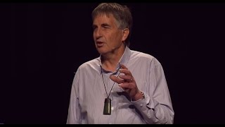 The First 1000 Days  Johan Morreau  TEDxTauranga [upl. by Hulbard]